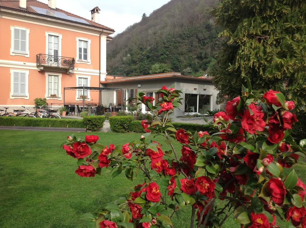 B&B Villa Dei Pini カンノビオ エクステリア 写真
