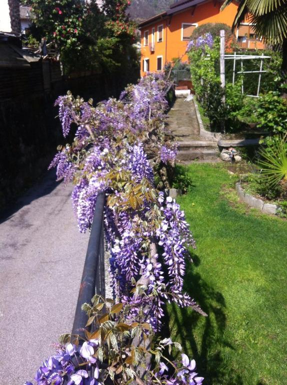 B&B Villa Dei Pini カンノビオ エクステリア 写真