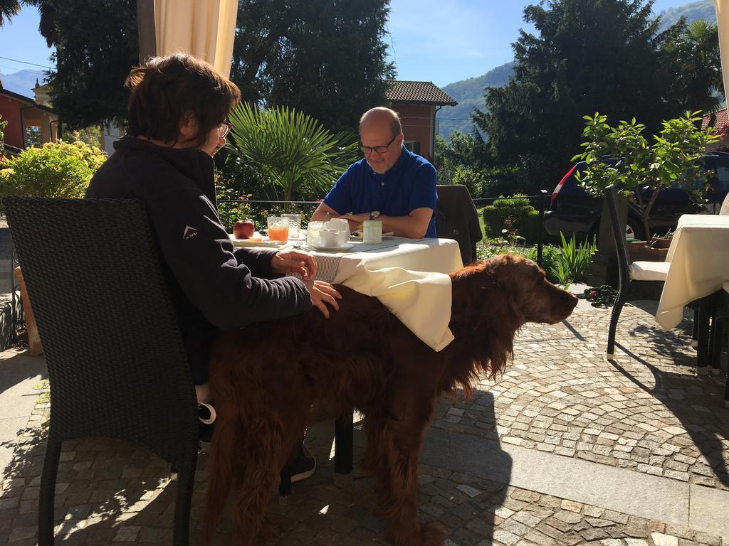 B&B Villa Dei Pini カンノビオ エクステリア 写真